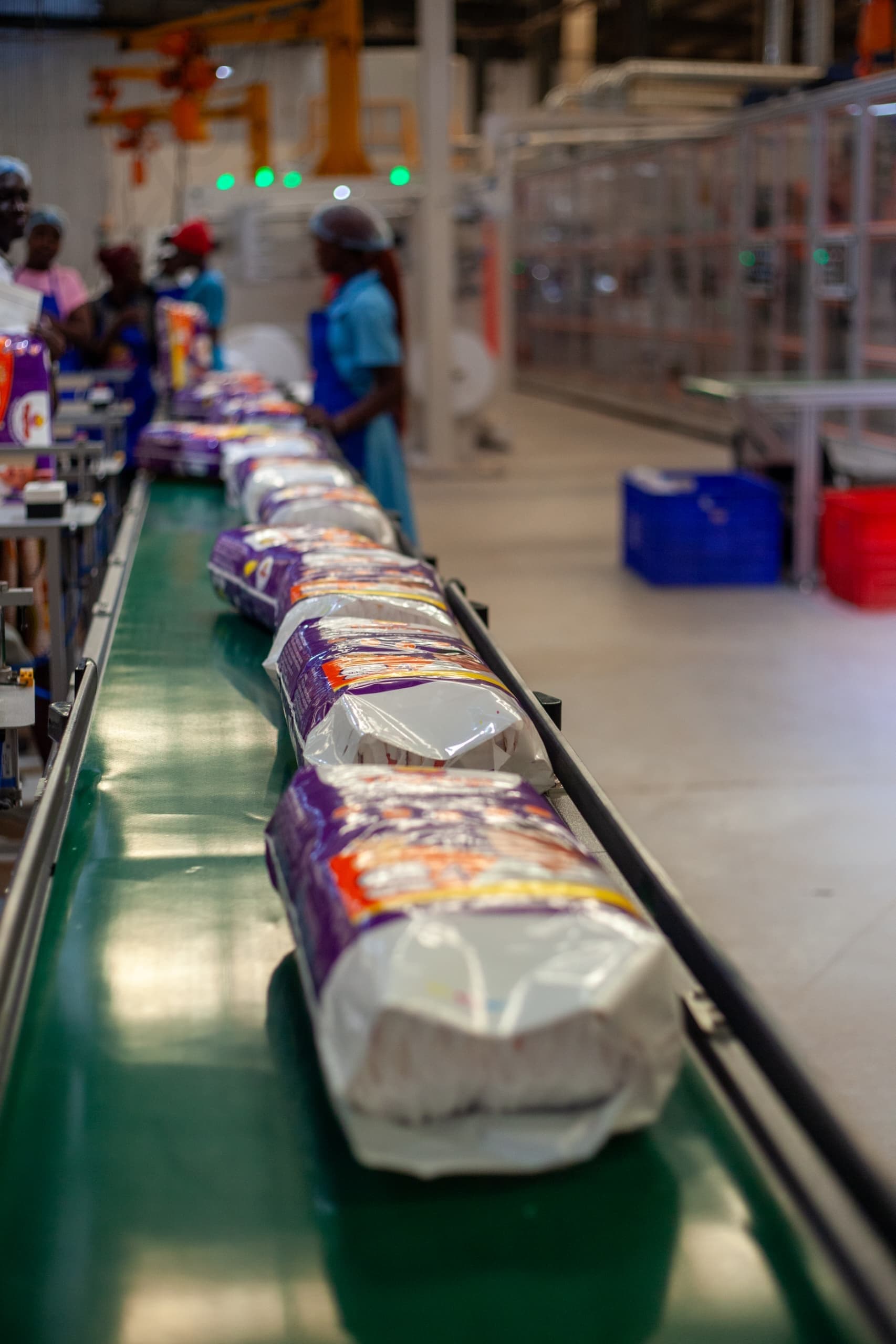 Finished packs travelling along the conveyor